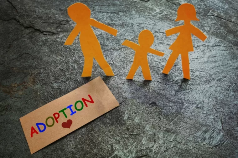 Office notariale pour gestion d'adoption à Rillieux la Pape 